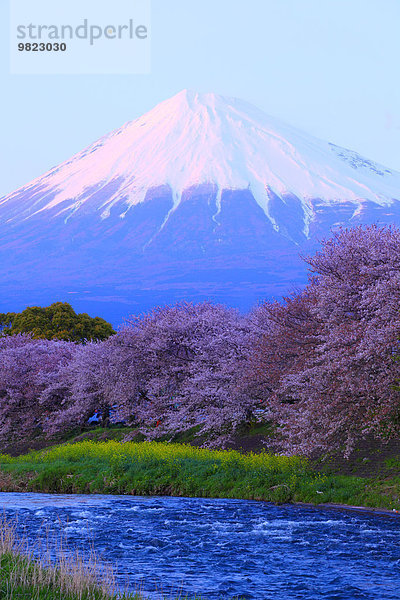 Japan Shizuoka Präfektur