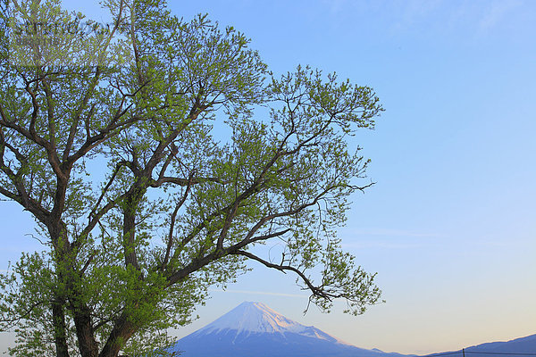 Japan Shizuoka Präfektur