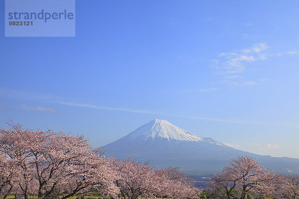 Japan Shizuoka Präfektur