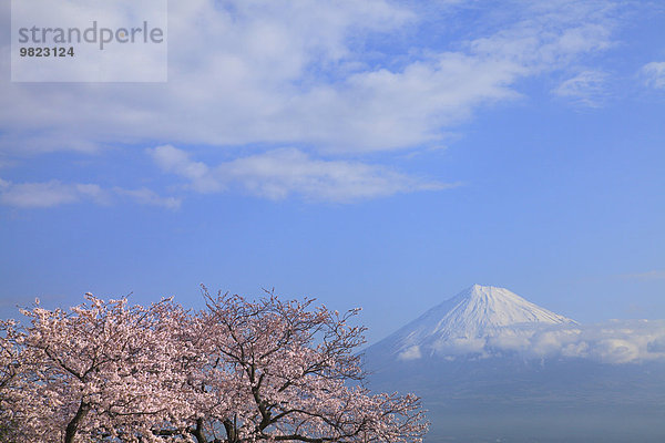 Japan Shizuoka Präfektur