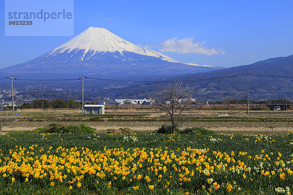 Japan Shizuoka Präfektur