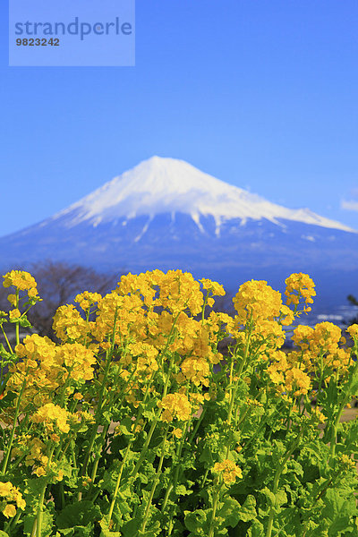 Japan Shizuoka Präfektur