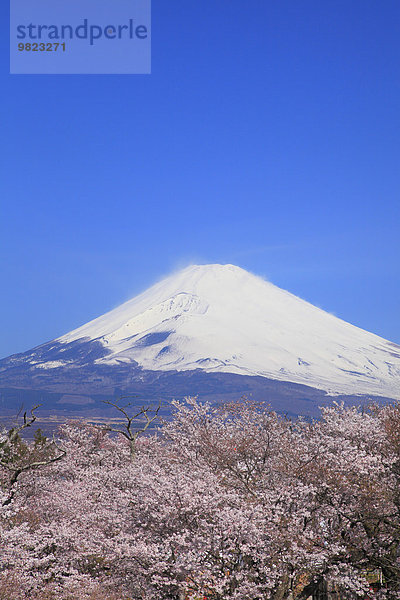 Japan Shizuoka Präfektur