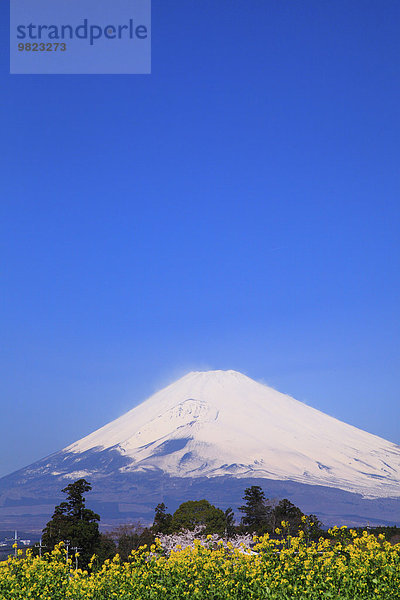 Japan Shizuoka Präfektur