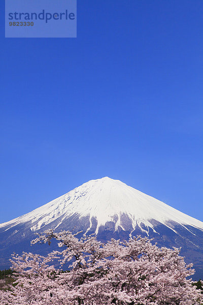 Japan Shizuoka Präfektur