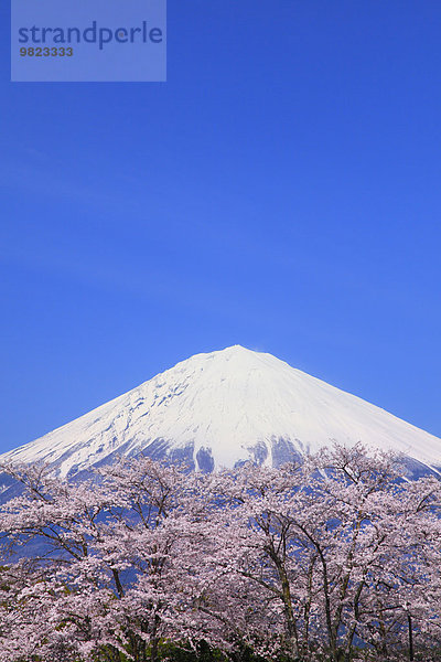 Japan Shizuoka Präfektur