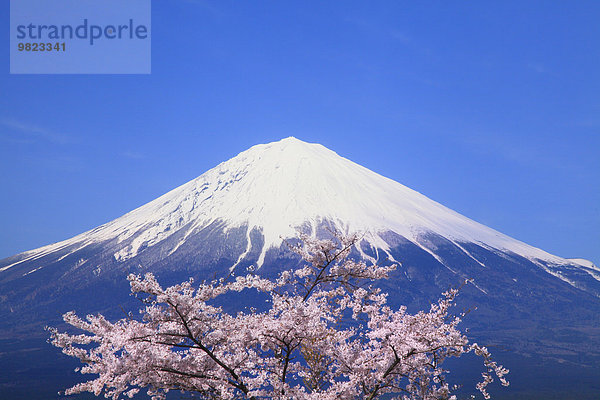 Japan Shizuoka Präfektur