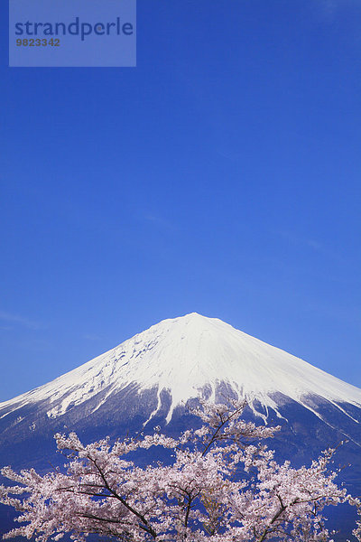 Japan Shizuoka Präfektur