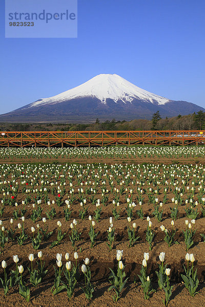 Japan Yamanashi Präfektur