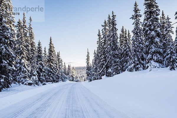 Winter Fernverkehrsstraße