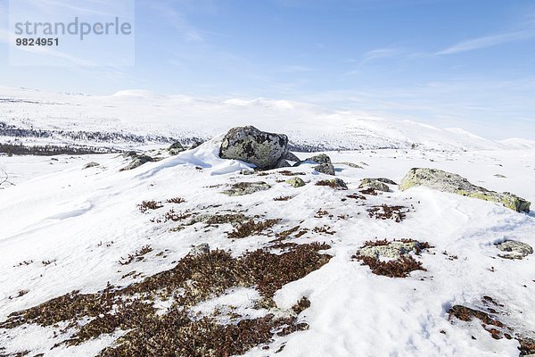 Winterlandschaft