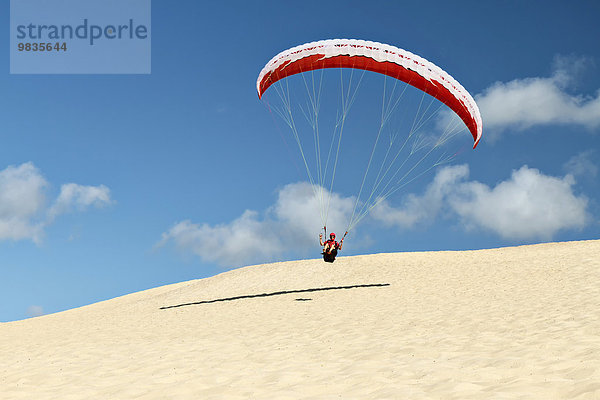 Paraglider beim Küstenstart auf der Düne von Pilat  Dune du Pilat  Pyla  Arcachon  Gironde  Aquitanien  Südfrankreich  Frankreich  Europa
