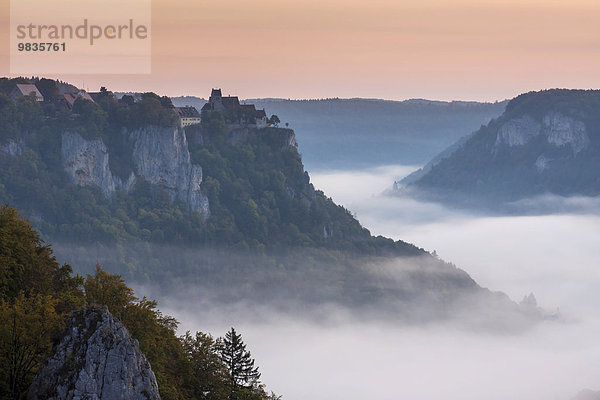 Schloss Werenwag über dem Nebel am Morgen  oberes Donautal  Beuron  Baden-Württemberg  Deutschland  Europa