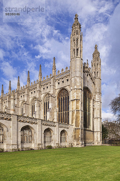 Ostfassade  King's College Chapel  Cambridge  Cambridgeshire  England  Großbritannien  Europa
