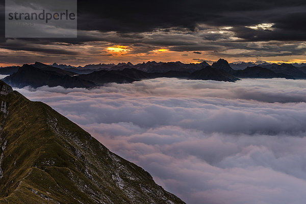 Gipfelgrat der Kanisfluh mit Nebelmeer bei Sonnenaufgang  Au  Bregenzerwald  Vorarlberg  Österreich  Europa