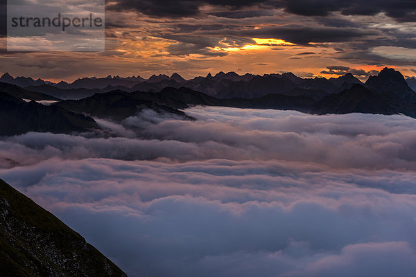 Nebelmeer bei Sonnenaufgang mit Allgäuer Bergen  Au  Bregenzerwald  Vorarlberg  Österreich  Europa