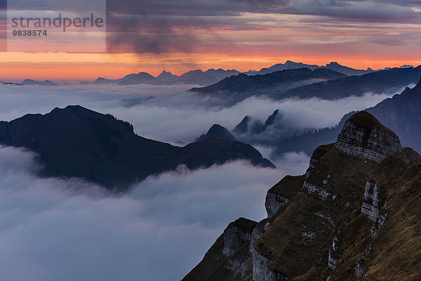 Nebelmeer über Bregenzerwald bei Sonnenaufgang  Au  Bregenzerwald  Vorarlberg  Österreich  Europa