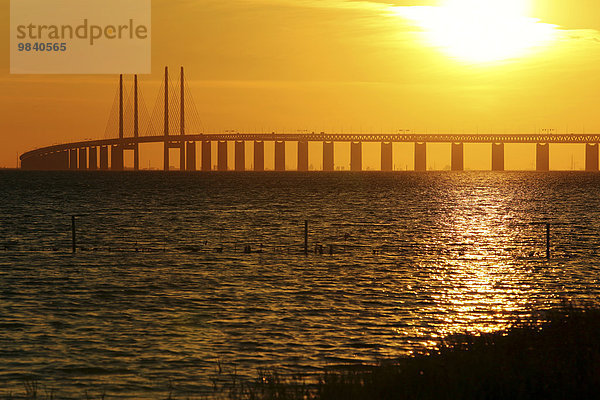 Öresund-Brücke im Gegenlicht  Öresund  Schweden  Europa