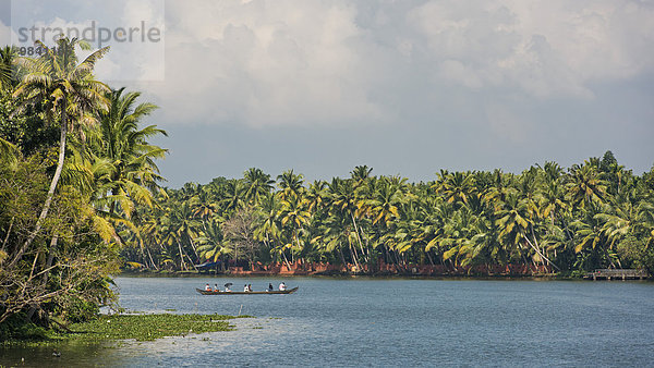 Boot  palmengesäumtes Kanalsystem Backwaters  Kerala  Malabarküste  Südindien  Indien  Asien