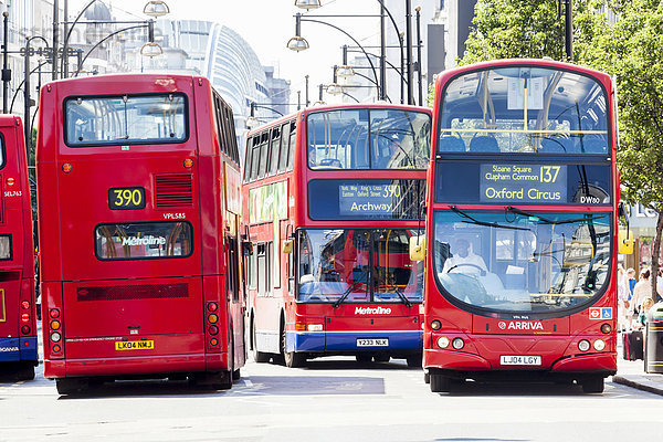 Doppeldeckerbusse in der Oxford Street  London  England  Großbritannien  Europa