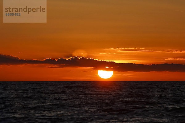 Untergehende Sonne an der Ostsee  Fischland-Darß-Zingst  Mecklenburg-Vorpommern  Deutschland  Europa