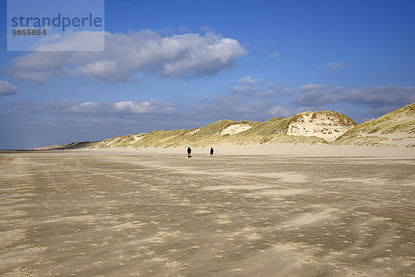 Strand  Dünen  Egmond aan Zee  Nordholland  Niederlande  Europa