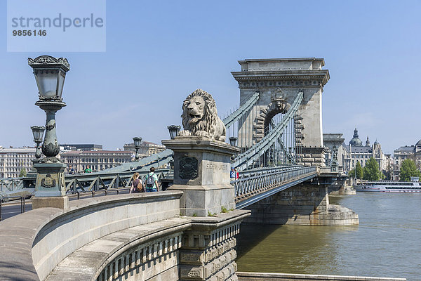 Széchenyi-Kettenbrücke von der Budaer Seite  Buda  Budapest  Ungarn  Europa