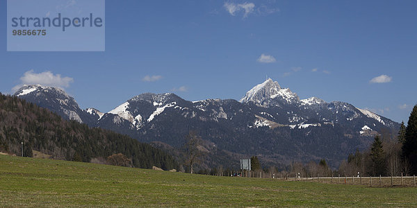 Wendelstein  Mangfallgebirge  Bayerische Alpen  Oberbayern  Bayern  Deutschland  Europa