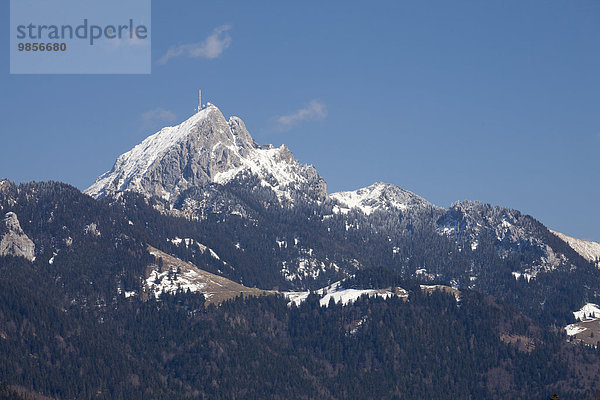 Wendelstein  Gipfel  Mangfallgebirge  Bayerische Alpen  Oberbayern  Bayern  Deutschland  Europa