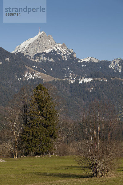 Wendelstein  Mangfallgebirge  Bayerische Alpen  Oberbayern  Bayern  Deutschland  Europa
