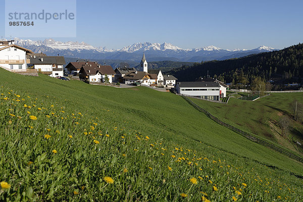 Ortsansicht  Flaas am Salten vor den Dolomiten  Südtirol  Italien  Europa