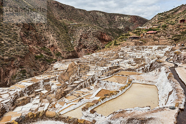 Salinen im Heiligen Tal der Inkas am Urubamba  bei Maras  Peru  Südamerika