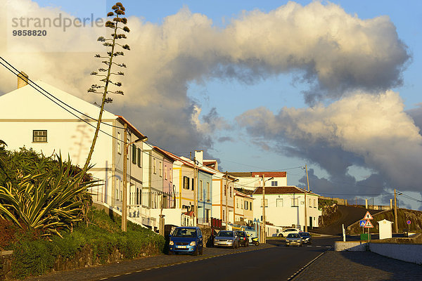 Straße  Sao Mateus de Calheta  Terceira  Azoren  Portugal  Europa