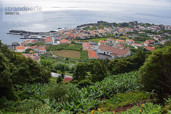Küstenort Ribeiras  Pico  Azoren  Portugal  Europa