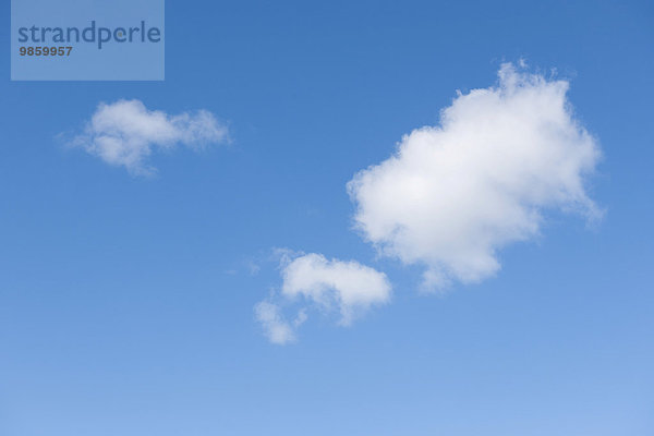 Cumulus-Wolken  Haufenwolken  Quellwolken  Schäfchenwolken