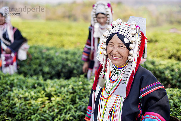 Frauen vom Bergvolk der Akha pflücken Tee  Doi Mae Salong  Nordthailand  Thailand  Asien