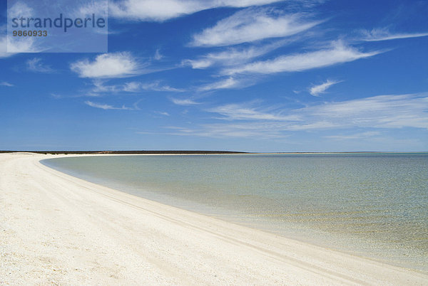 Sandstrand  Shell Beach  Shark Bay  Western Australia  Australien  Ozeanien