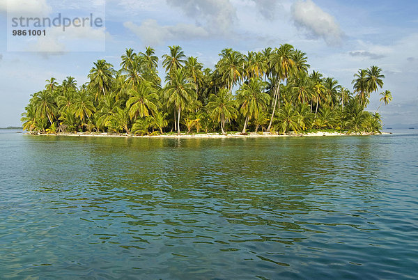 Insel mit Kokospalmen (Cocos nucifera)  San Blas  Panama  Nordamerika