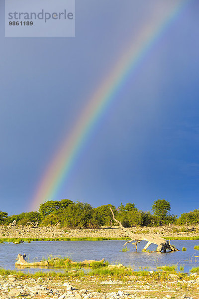 Regenbogen über einer Wasserstelle  Etosha-Nationalpark  Namibia  Afrika