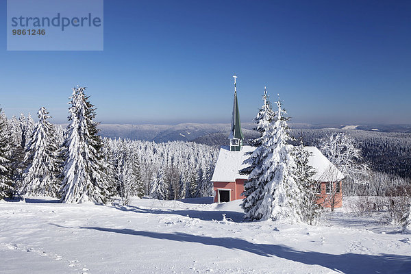 Winterlandschaft auf dem Kandel mit Kirche  Schwarzwald  Baden-Württemberg  Deutschland  Europa