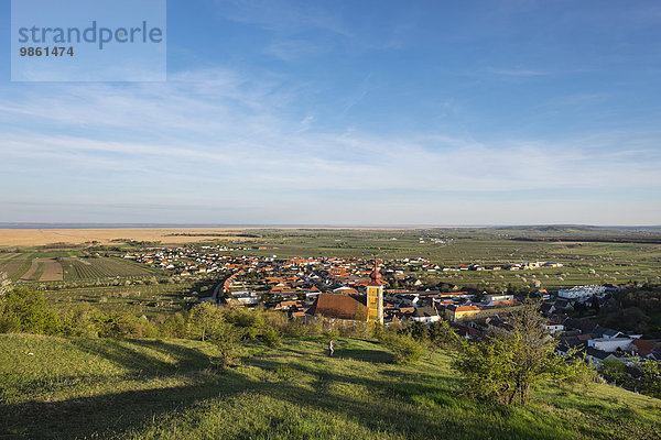 Ortsansicht mit Bergkirche St. Martin und Neusiedler See  Donnerskirchen  Nordburgenland  Burgenland  Österreich  Europa