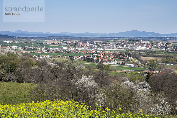 Ortsansicht  Mattersburg  Nordburgenland  Burgenland  Österreich  Europa