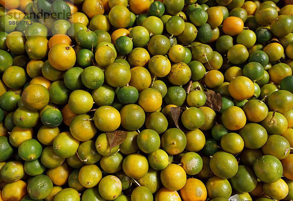 Limonen (Citrus aurantiifolia) am Markt  Indonesien  Asien