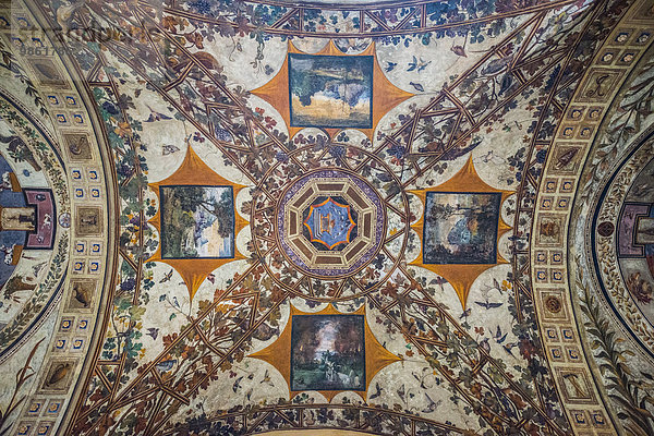 Kunstvolles Deckenfresko  Palazzo Chigi-Saracini  Siena  Toskana  Italien  Europa