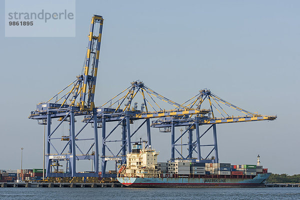 Containerschiff der Maersk Line  Kräne  International Container Transhipment Terminal ICTT  Vallarpadam Terminal  Kochi  Kerala  Indien  Asien