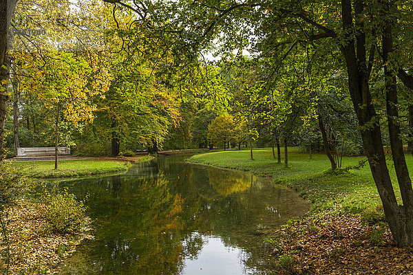 Bach im Englischen Garten im Herbst  München  Oberbayern  Deutschland  Europa