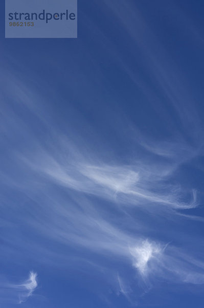 Federwolken oder Cirrus-Wolken am blauen Himmel
