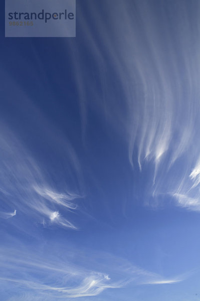Federwolken  Cirrus  am blauen Himmel
