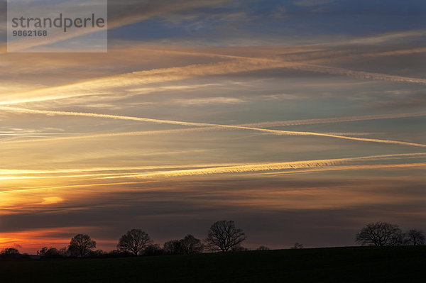 Sonnenuntergang mit Kondensstreifen am Himmel  Bäume als Silhouette  Mecklenburg-Vorpommern  Deutschland  Europa