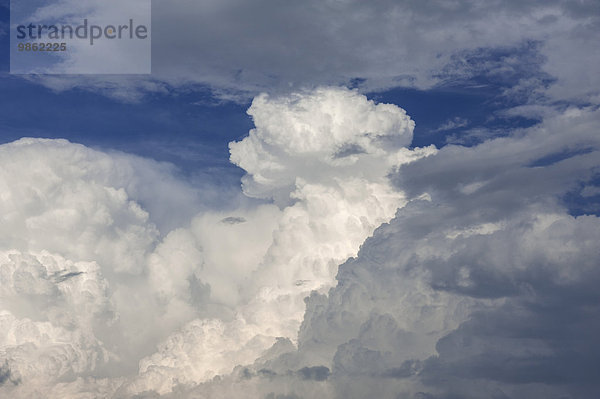 Haufenwolken  Cumulus